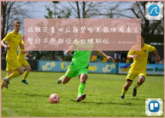 诺维茨基回应接替哈里森传闻表示暂时不想担任总经理职位