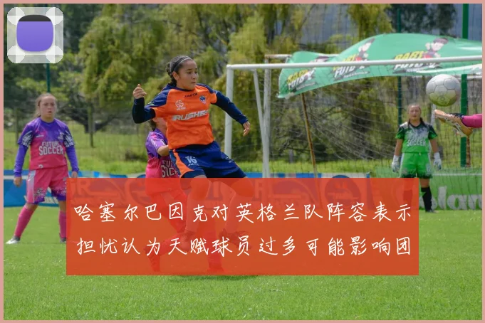 哈塞尔巴因克对英格兰队阵容表示担忧认为天赋球员过多可能影响团队合作