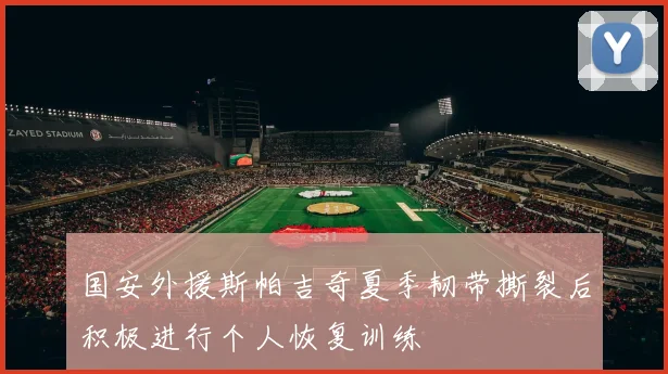 国安外援斯帕吉奇夏季韧带撕裂后积极进行个人恢复训练