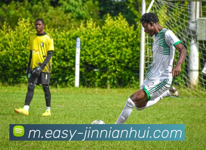 今年会官网平台生态图